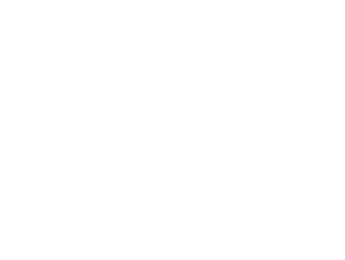 Domaine Evenstad logo