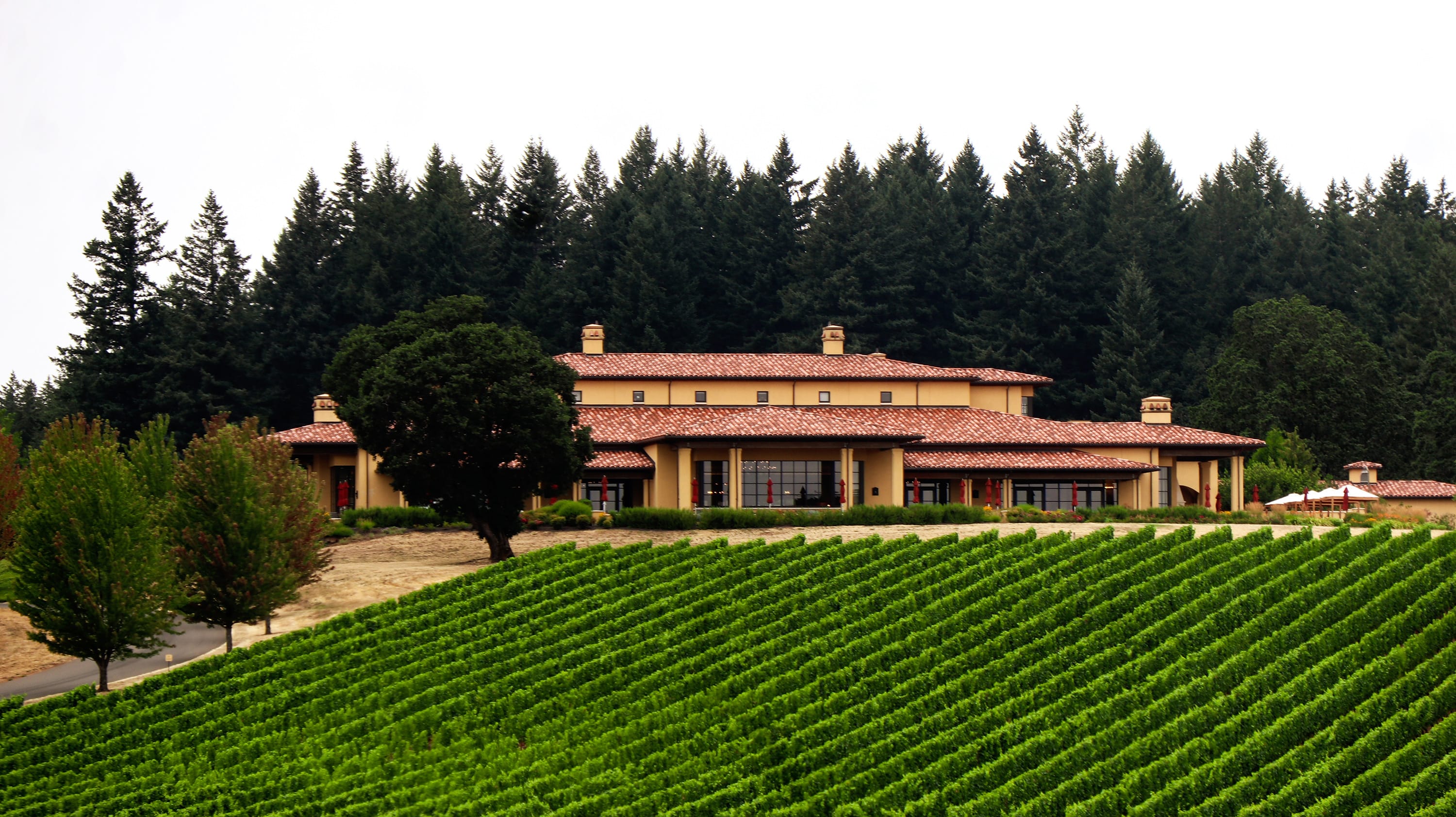 Domaine Serene becomes Oregon’s Most Awarded Winery from Wine Spectator